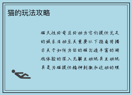 猫的玩法攻略